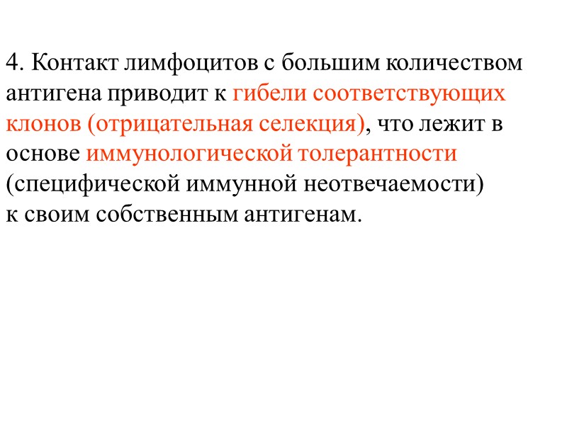 4. Контакт лимфоцитов с большим количеством антигена приводит к гибели соответствующих клонов (отрицательная селекция),